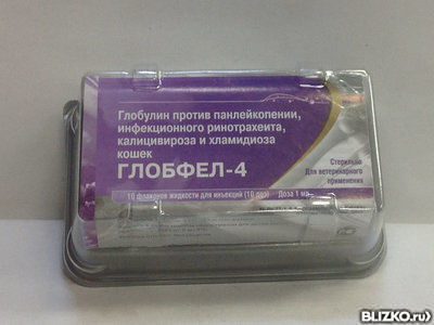 Глобфел для беременных кошек 54