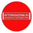 avtomagazin66.ru, Интернет магазин и автосервис