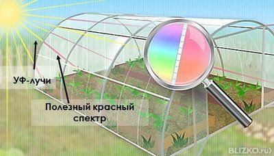 Поликарбонат rational казанский характеристики