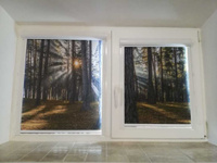 Рулонные шторы с фотопечатью закрытого типа "Лес" 500 х500 комплект из 2шт.