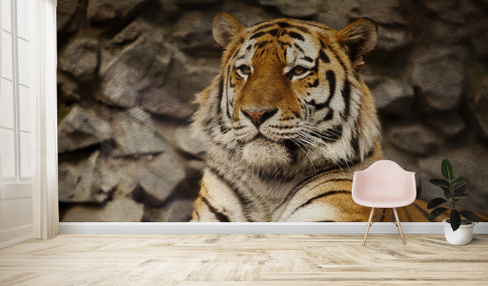 Фреска Mokachino (Мокачино) с фотопечатью "Амурский Тигр" 2500мм х 3500мм