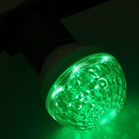 Лампочка Е27, светодиодная Декоративная диаметр 50 мм, зеленый свет, Neon-Night NEON-NIGHT