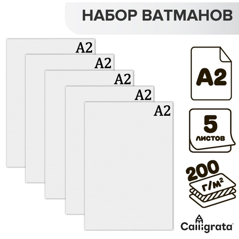 Набор ватманов чертежных а2, 200 г/м², 5 листов Calligrata