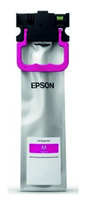 Картридж Epson C13T01C300